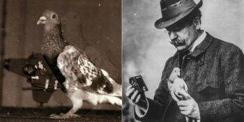 Julius Neubronner: Drone’lar Yokken Güvercinlere Kamera Takarak Kuş Bakışı Fotoğraflar Çeken Mucit