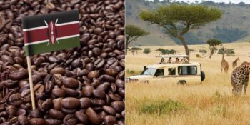 Ülke Genelinde 68 Dil Konuşuluyor! Kenya Hakkında Bilmeniz Gereken 10 İlginç Gerçek