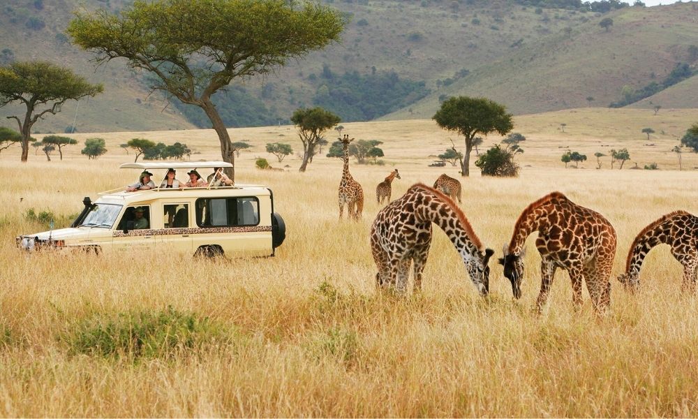 Kenya hakkında