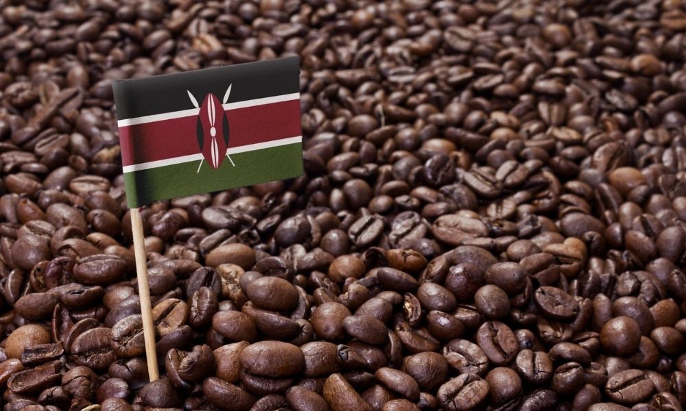 Kenya hakkında
