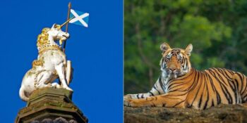 Tek Boynuzlu Attan Bengal Kaplanı’na: Ülkelerin Ulusal Hayvanları Ve Hikayeleri