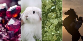 Doğum Taşından Ağaç Türüne: Doğduğunuz Ayın Sembolleri Nelerdir?