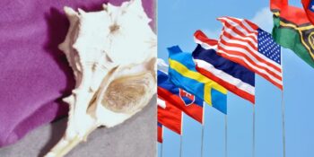 Birkaç İstisna Hariç Neden Ülkelerin Bayrağında Mor Renk Yok?