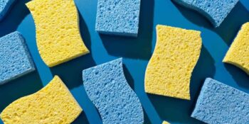 Araştırma: Bulaşık Süngerleri Klozet Kapağından Bile Daha Fazla Bakteri Barındırıyor