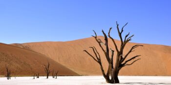 Bilimsel Bir Açıklaması Var! Sıcak Havada Neden Daha Kolay Sinirleniyoruz?