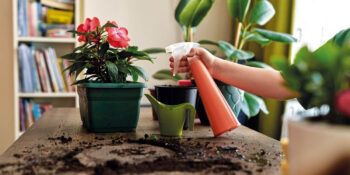 Bitkilerin Sağlığını Korumak Mümkün! Tatilde Çiçeklerin Kurumaması İçin Ne Yapılabilir?