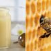 Doğanın Mucizevi Maddesi Arı Sütü Nedir, Faydaları Nelerdir?