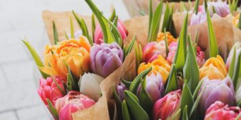 Sevdiğini Mutlu Etmek İsteyenler Buraya! Bir Kadına Verilebilecek En Güzel Çiçek Hangisi?