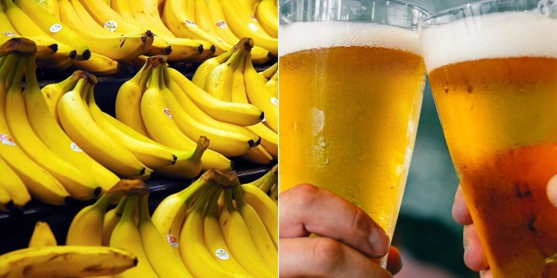 Google Oyunlar Google da Oynanabilecek Oyunlar ListeList Google Oyunlar Google da Oynanabilecek Oyunlar ListeList