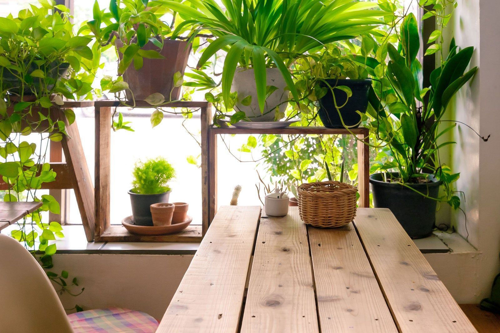 feng shui para ve bereket tüyoları