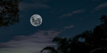 Haftalık Burç Yorumları: 9-15 Haziran Haftasında Sizi Neler Bekliyor?