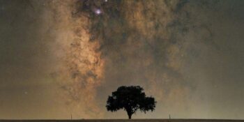 Haftalık Burç Yorumları: 30 Haziran-6 Temmuz Haftasında Sizi Neler Bekliyor?