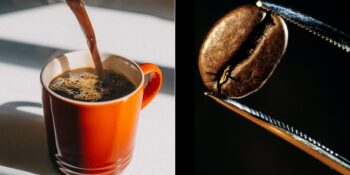 Toplanın Açıklıyoruz! Çoğu İnsanın Kurtarıcısı Olan Kafeinsiz Kahve Nedir, Nasıl Üretilir?