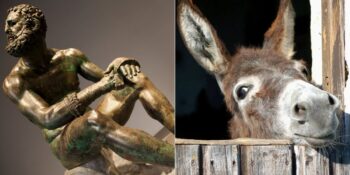 İnanması Zor Olsa Da Tarih Boyunca Mahkemede Yargılanan 15 Hayvan Ve Nesne