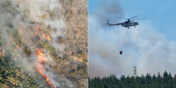 Her Sene Aynı Acı Tablo! Türkiye’nin Birçok Yerinde Orman Yangınları Devam Ediyor