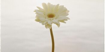 Haftalık Burç Yorumları: 7-13 Temmuz Haftasında Sizi Neler Bekliyor?