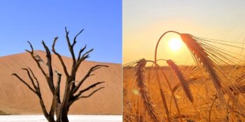 Kavruluyoruz! Türkiye’yi Etkisi Altına Alan Isı Kubbesi Hakkında Bilmeniz Gerekenler