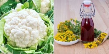 Depresyona Elveda! Sağlık Uzmanlarına Göre Gerçekten Etkili Olan 14 Doğal Antidepresan