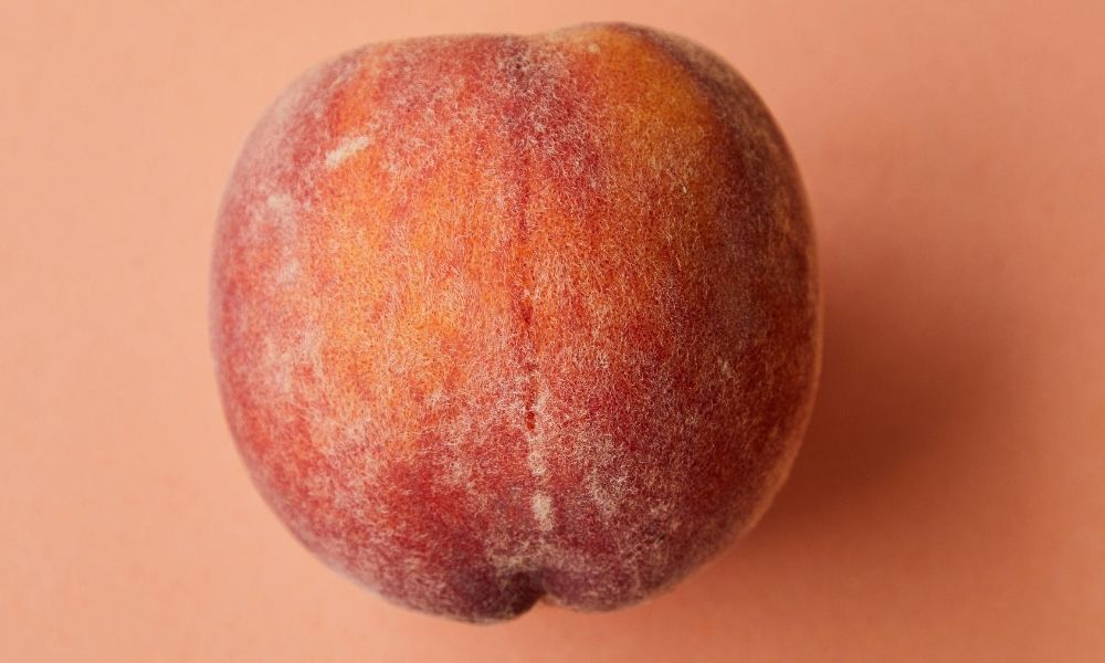 porno sektörünün acı gerçekleri