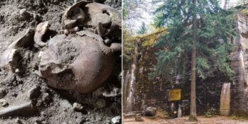 Hitler’in Polonya’daki Gizli Üssü “Kurt İni” Hakkında Bilmeniz Gerekenler