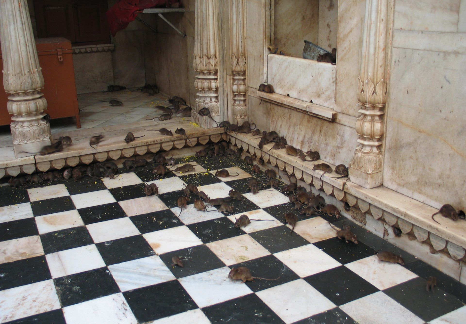Karni Mata