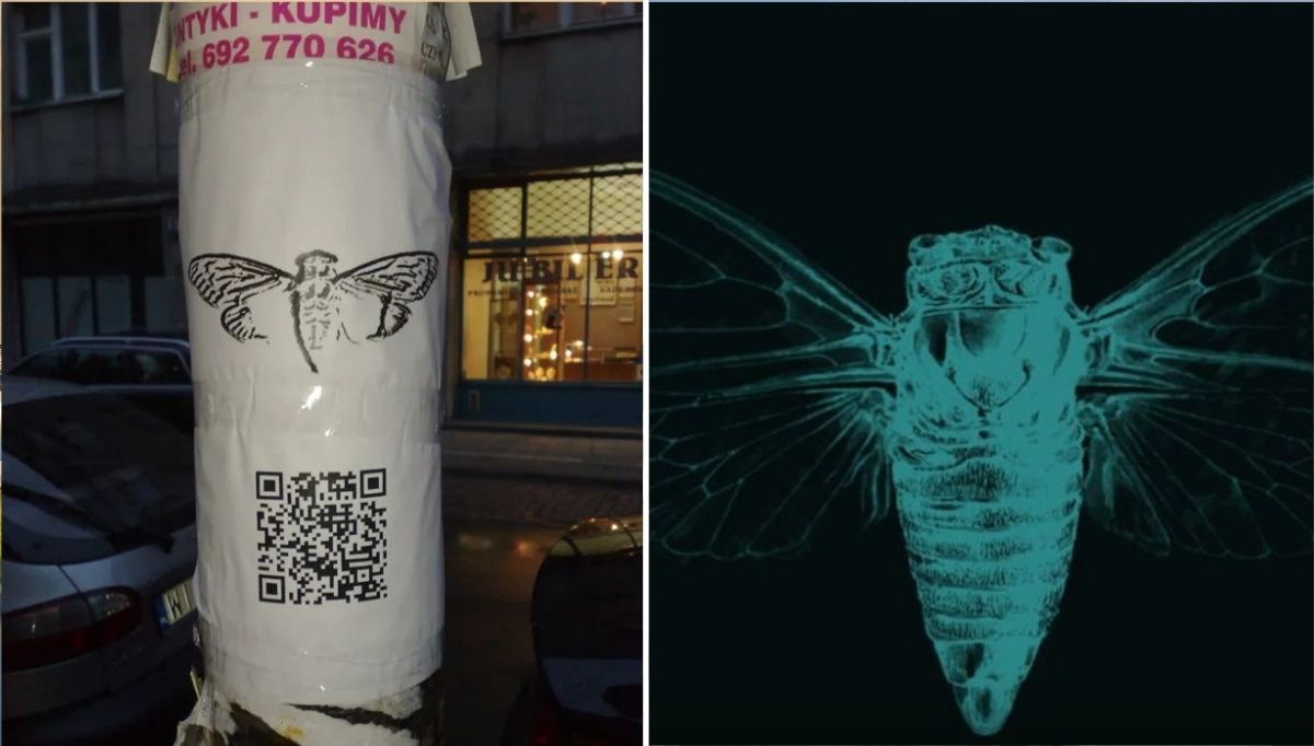 Ağustos Böceğinin Sırrı Çözüldü Mü? İnternet Dünyasının En Zor Bulmacası Olan Cicada 3301 Nedir?