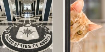 İstihbarat Teşkilatı CIA Hakkında Muhtemelen Daha Önce Duymadığınız 11 İlginç Bilgi