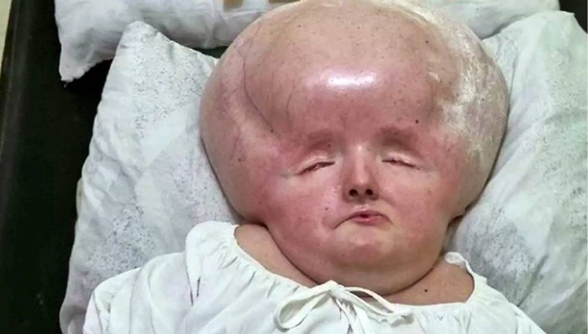 Graziely Alves Régis