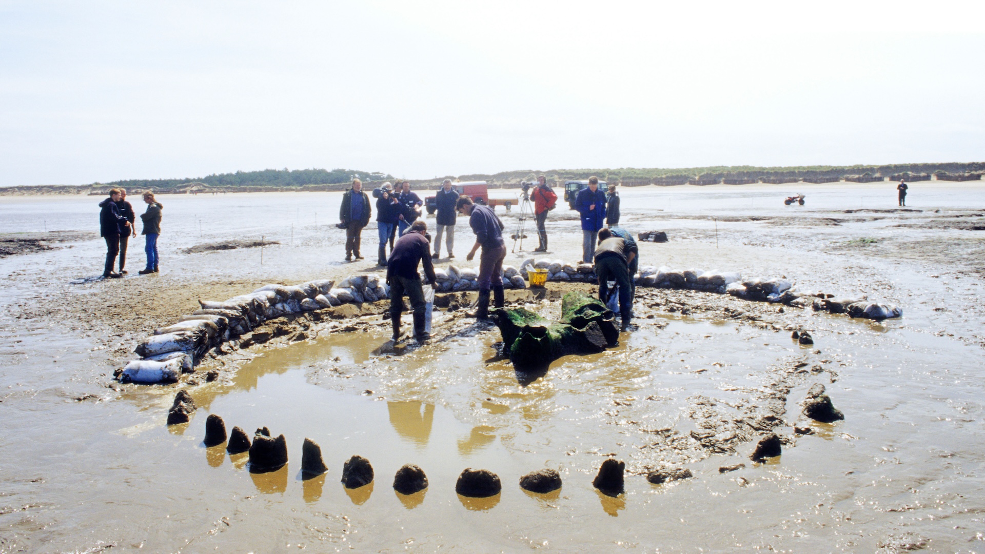 Seahenge nedir