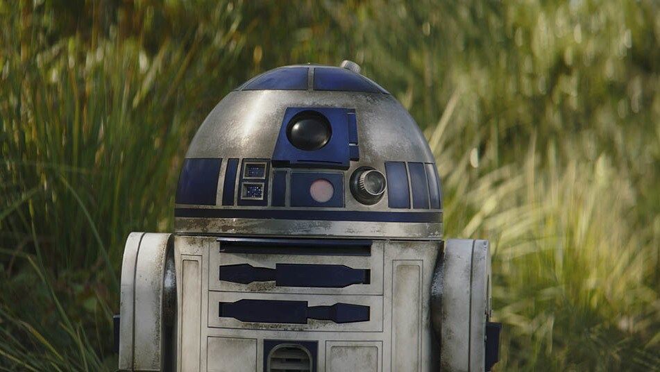 burcunuza göre hangi star wars karakterisiniz