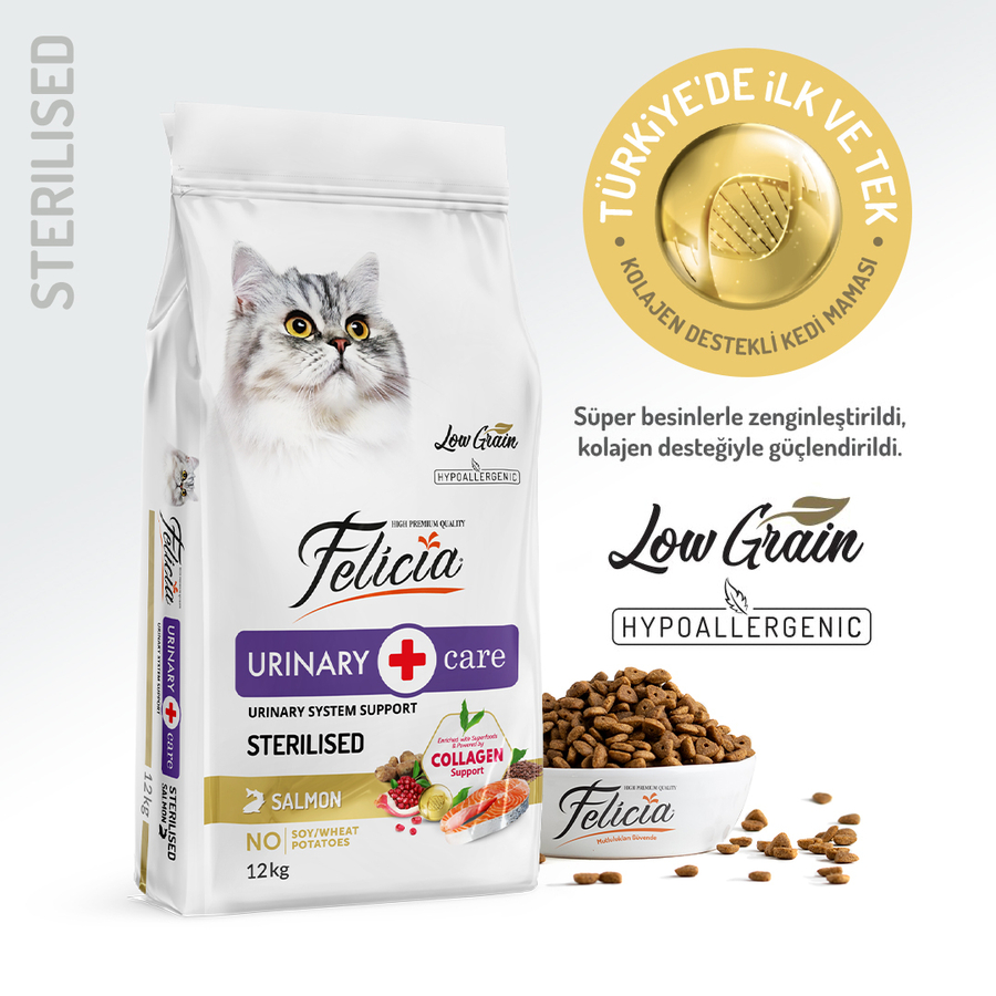 en iyi kedi mamaları