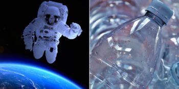 Öğrenince Ufkunuzu İki Katına Çıkaracak Rastgele 15 Bilimsel Bilgi