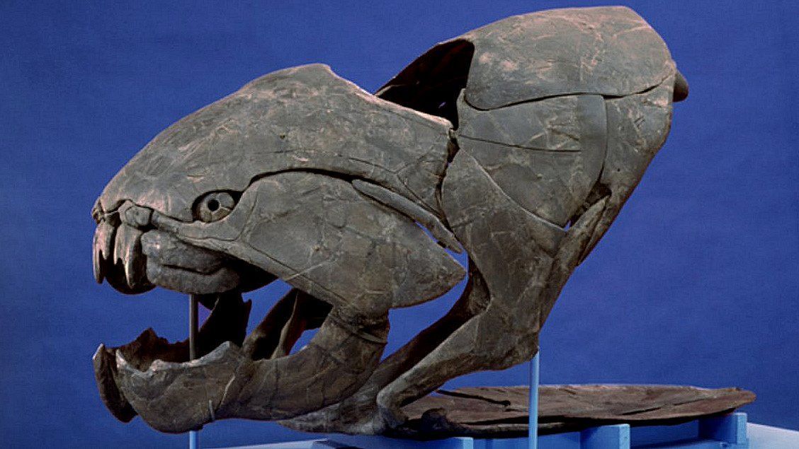 tarih öncesi dev canlılar