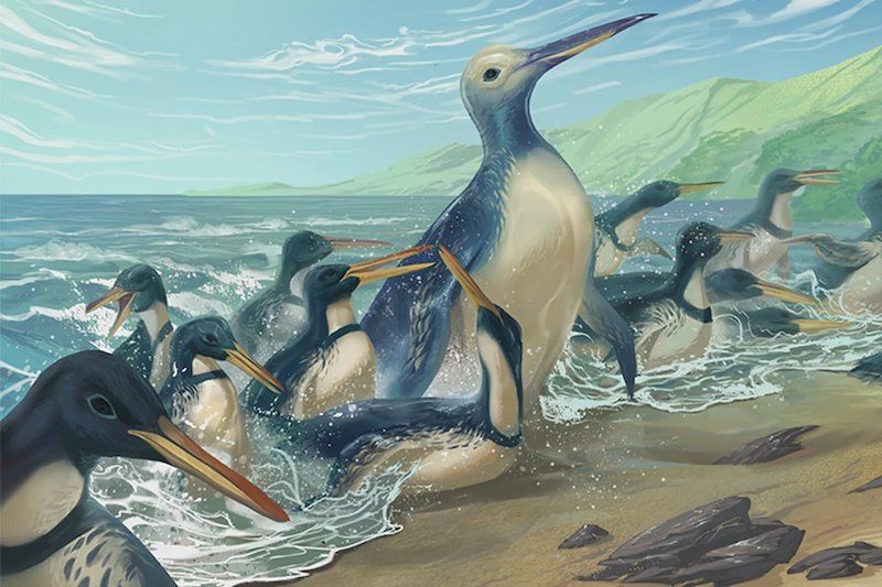 tarih öncesi dev canlılar