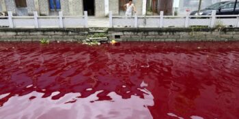 Tuhaf Bir Doğa Olayı: 2001 Yılında Hindistan’da Yağan Kırmızı Yağmurun Şaşırtıcı Hikayesi