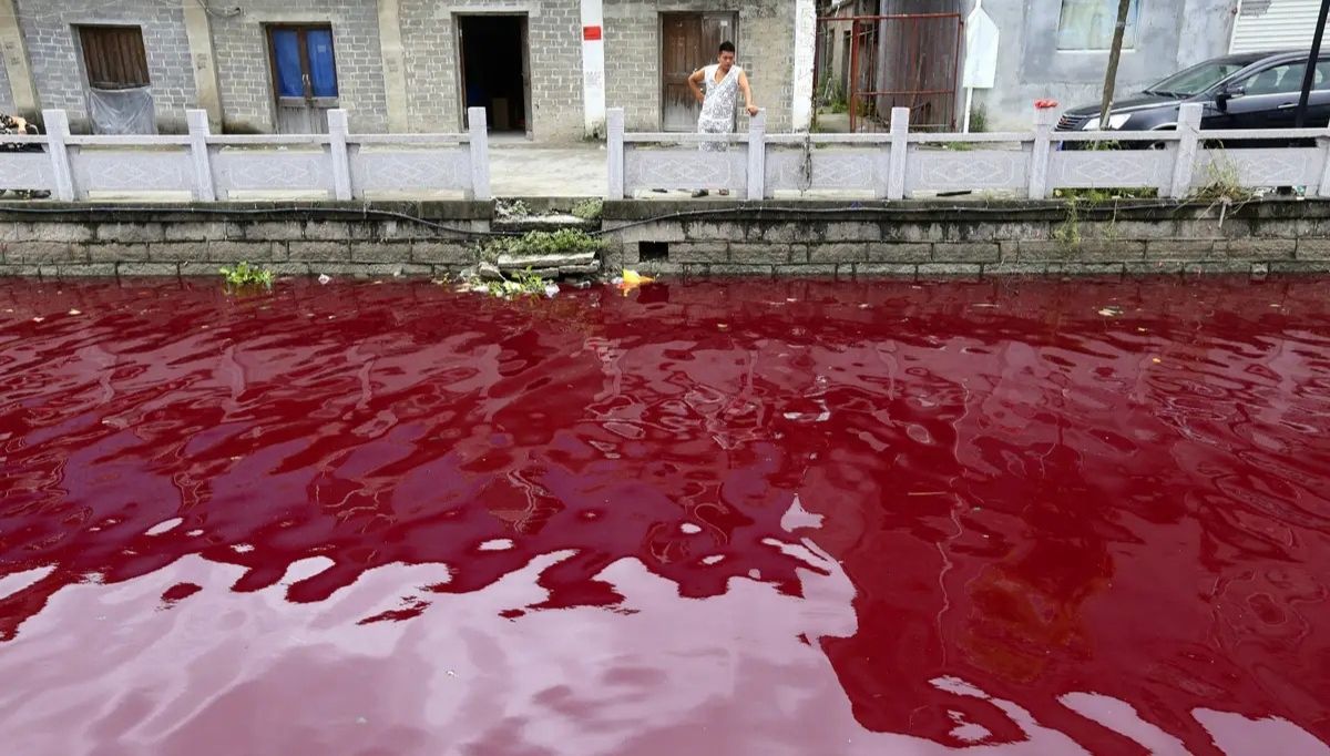 Tuhaf Bir Doğa Olayı: 2001 Yılında Hindistan’da Yağan Kırmızı Yağmurun Şaşırtıcı Hikayesi