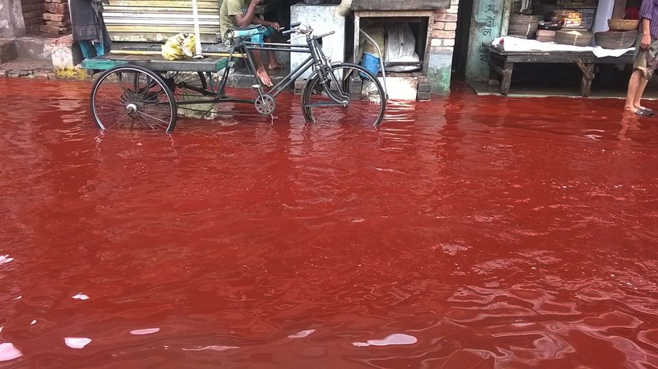 Hindistan'da kan yağmuru