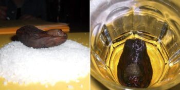 Tuhaf Bir Gelenek: Kanada’da Kurutulmuş Ayak Parmağı ile Yapılan Sourtoe Kokteyli Nedir?