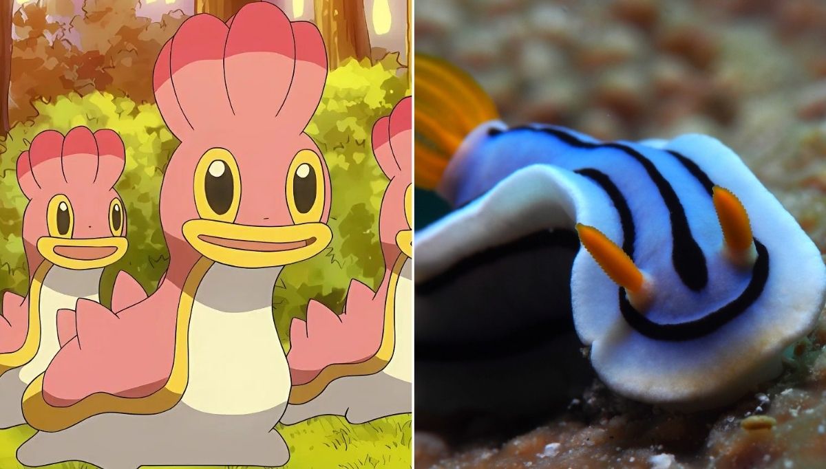 gerçek hayvanlardan ilham alınan pokemon karakterleri