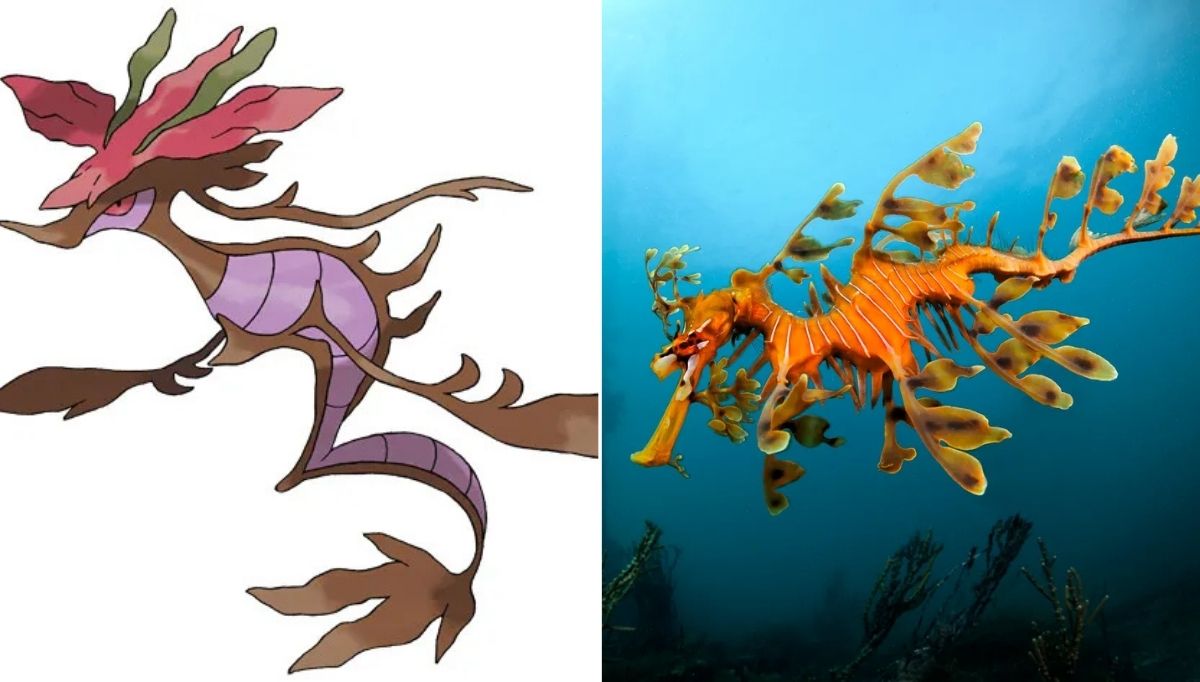 gerçek hayvanlardan ilham alınan pokemon karakterleri