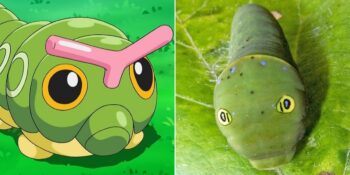 Hayal Ürünü Değiller! Gerçek Hayvanlardan İlham Alınan 15 Pokemon Karakteri