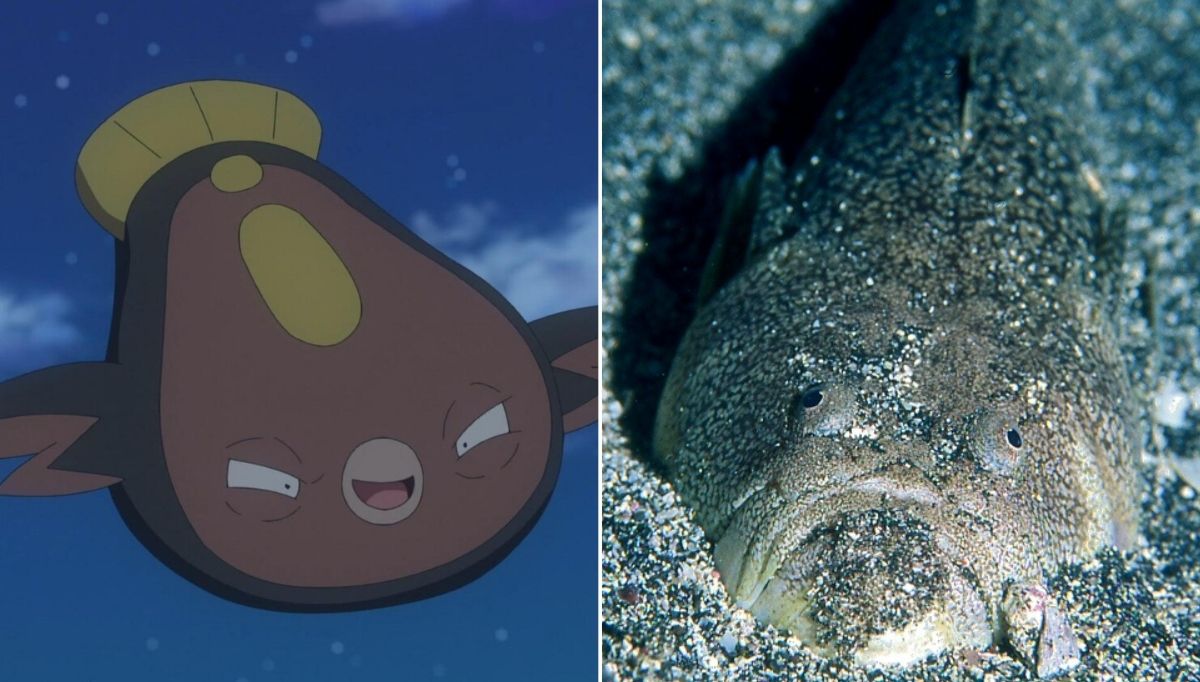 gerçek hayvanlardan ilham alınan pokemon karakterleri