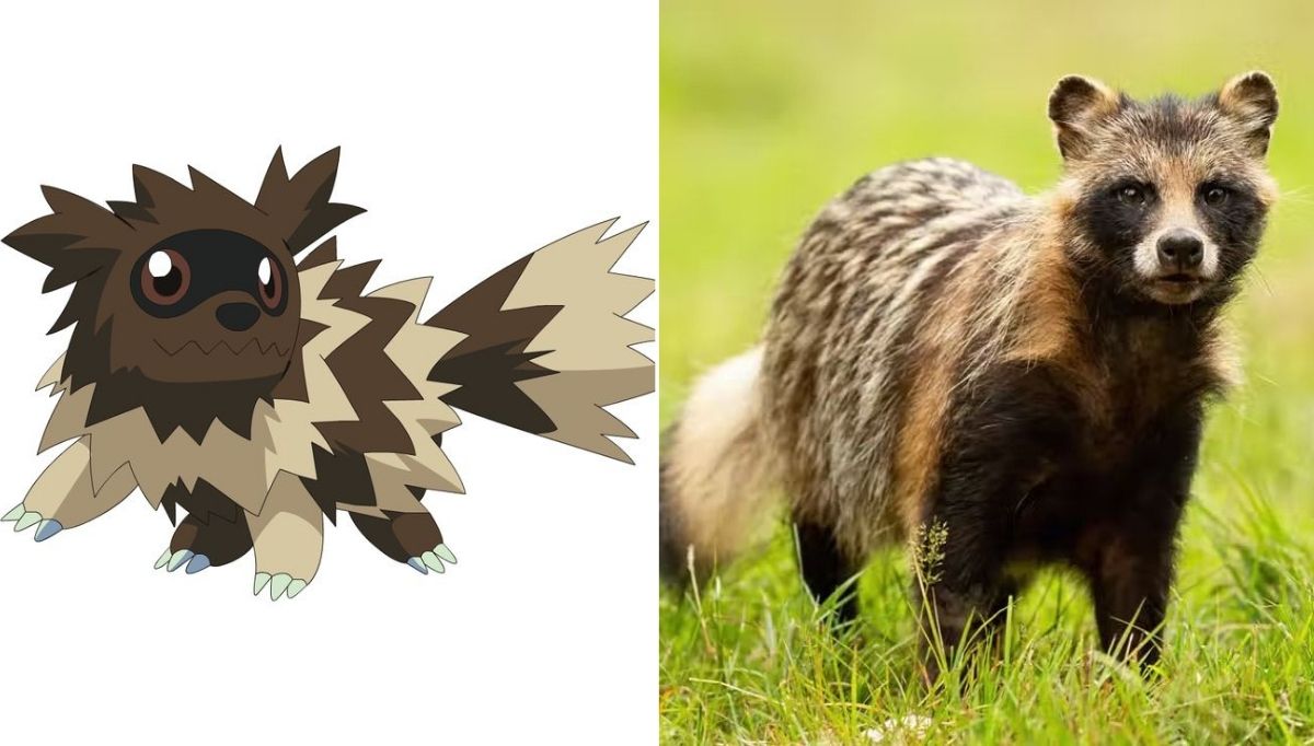 gerçek hayvanlardan ilham alınan pokemon karakterleri