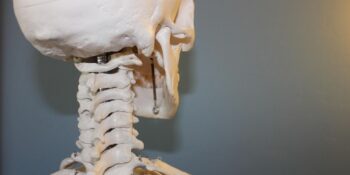 Fiziksel ve Ruhsal Sağlığımızı Doğrudan Etkileyen Vagus Siniri Nedir?