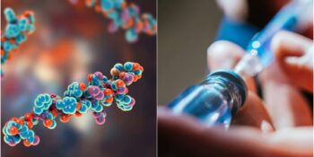 İştahın Düzenlenmesinde Kilit Rol Oynayan GLP-1 Hormonu Hakkında Bilmeniz Gerekenler