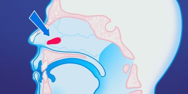 işlevsiz vücut parçaları
