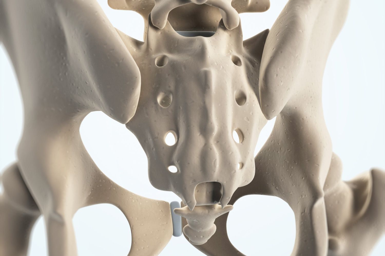 işlevsiz vücut parçaları