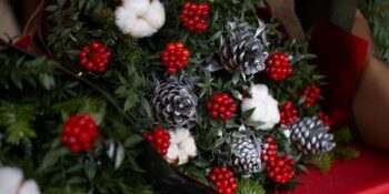 Yılbaşı Sembolü Haline Gelen Kokina Çiçeğinin Anlamı Nedir, Bakımı Nasıl Yapılır?