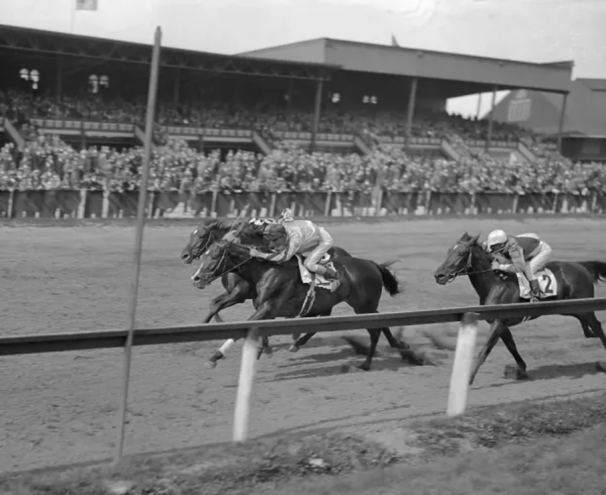 en ünlü hayvanları