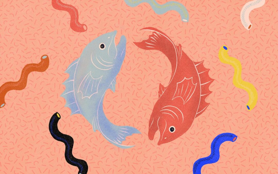 burçların şanslı günleri